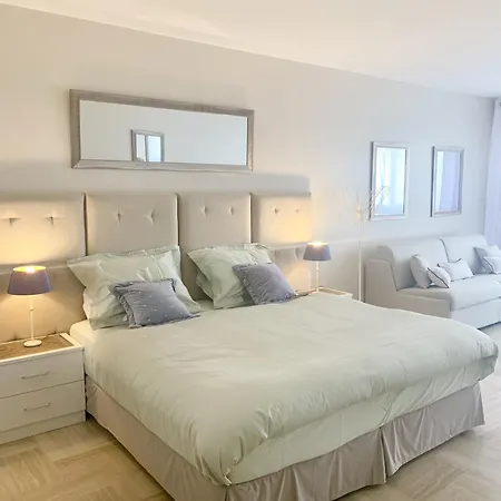 Deluxe Studio Residence Gray D'Albion Kir1271 Cannes