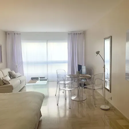 Deluxe Studio Residence Gray D'Albion Kir1271 Apartment Cannes
